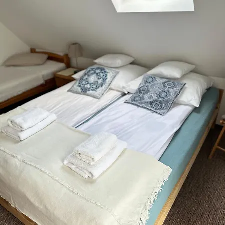 Lawendowa Wola - W Izerach 招待所 3*